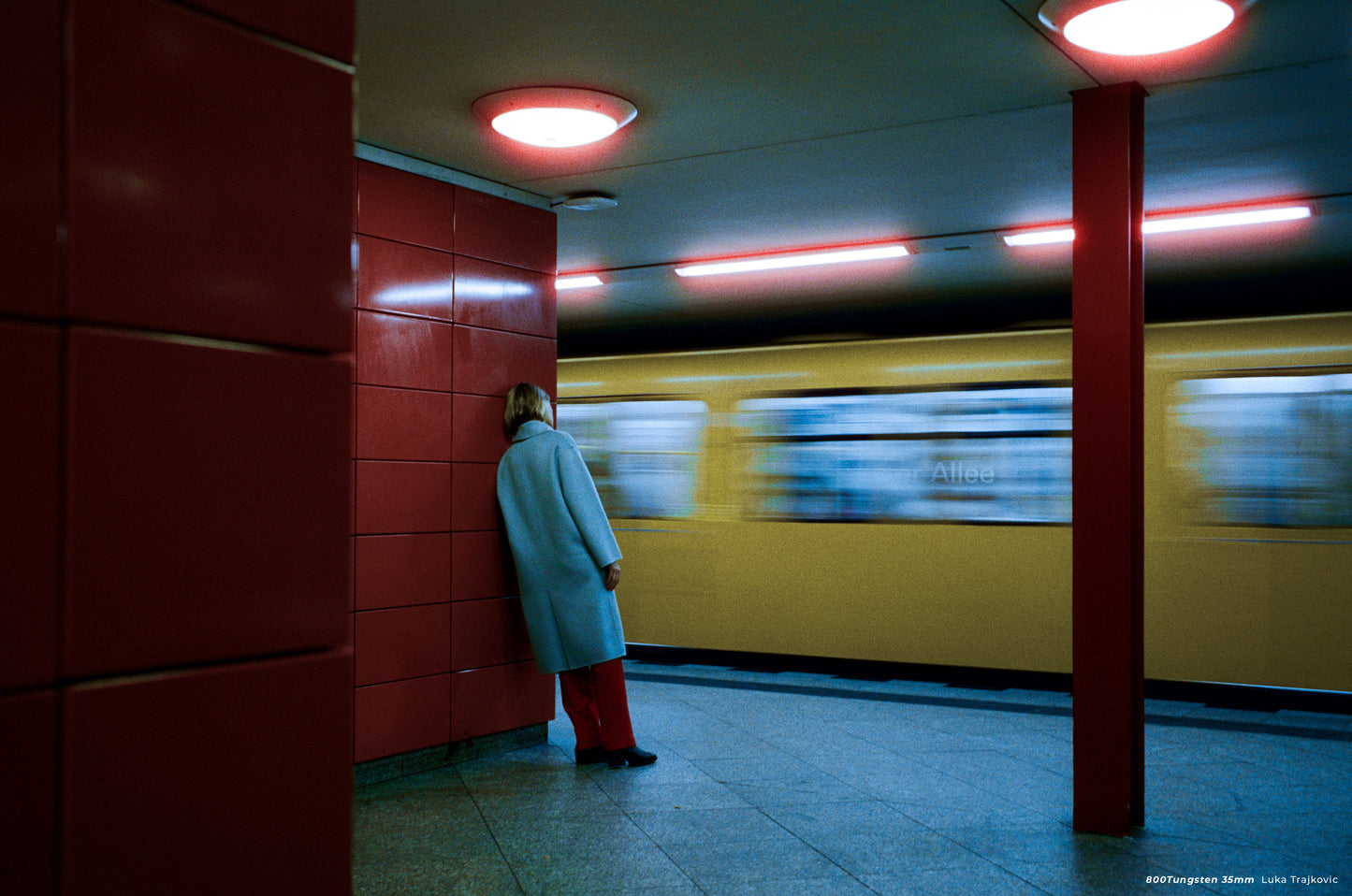 Cinestill 800T 35mm カラーネガフィルム135-36枚撮り