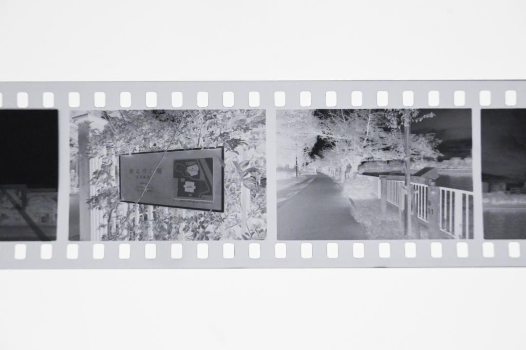 【エコパックでメール便】★マリックス 白黒ネガフィルム ISO400 36枚 MARIX BLACK＆WHITE FILM